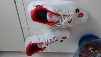 Adidas Turnschuhe 42 Brandenburg - Ferch Vorschau