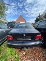 BMW E39 520i 2000 Teilespender Motorhaube Stoßstange Türen Baden-Württemberg - Eppingen Vorschau