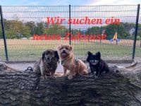 Wir suchen ein neues Zuhause ❤️ Nordrhein-Westfalen - Beckum Vorschau