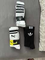 Socken Converse Puma Adidas Neu 40/42/43 Nordrhein-Westfalen - Herne Vorschau