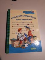 Lesemaus Das große Jungs-Buch zum Lesenlernen NEUWERTIG Schleswig-Holstein - Sieverstedt Vorschau