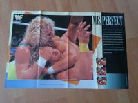 WWE WWF Wrestling Poster Mr. Perfect Curt Hennig Retro Vintage Hannover - Herrenhausen-Stöcken Vorschau