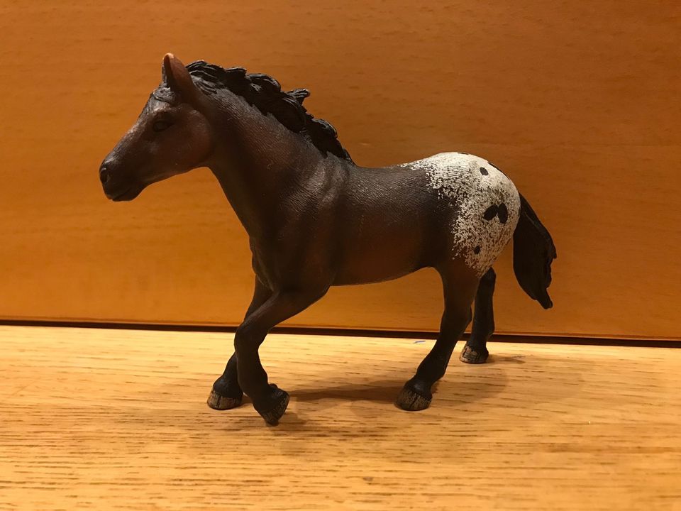 Schleich Appaloosa Hengst mit Sattel u Decke in Köln