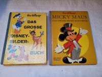 Walt Disney Micky Maus Bücher 1965/1970 Dortmund - Berghofen Vorschau