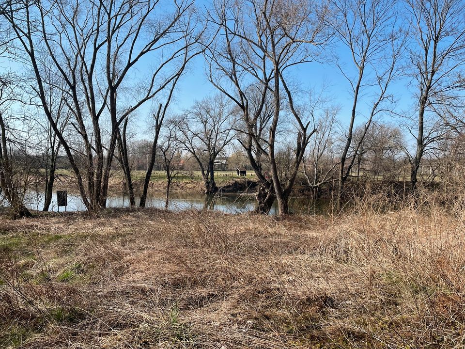 Großes Grundstück an der Saale mit Wasserzugang in Lützen