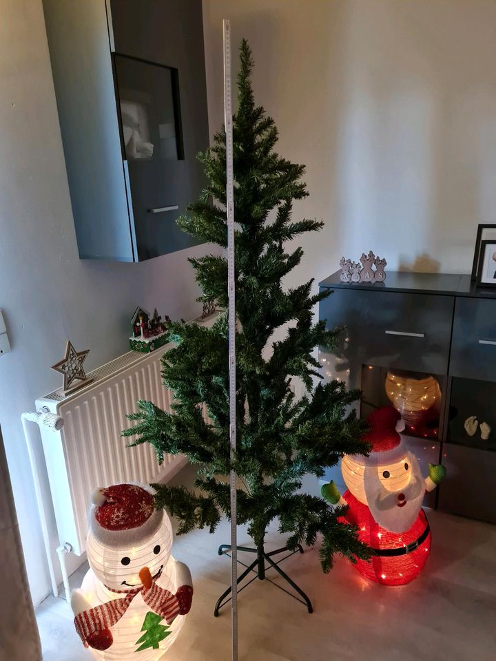 180cm großer Weihnachtsbaum  80cm breit in Rehfelde