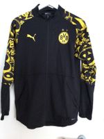 BVB Kinder Trainingsjacke Dresden - Seevorstadt-Ost/Großer Garten Vorschau