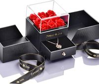 Rosen Geschenkbox mit Halskette Ewige Blume Bayern - Münchsmünster Vorschau