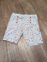 Baby kurze Hosen/Leggins Gr. 74 Kleidungspaket Nordrhein-Westfalen - Krefeld Vorschau