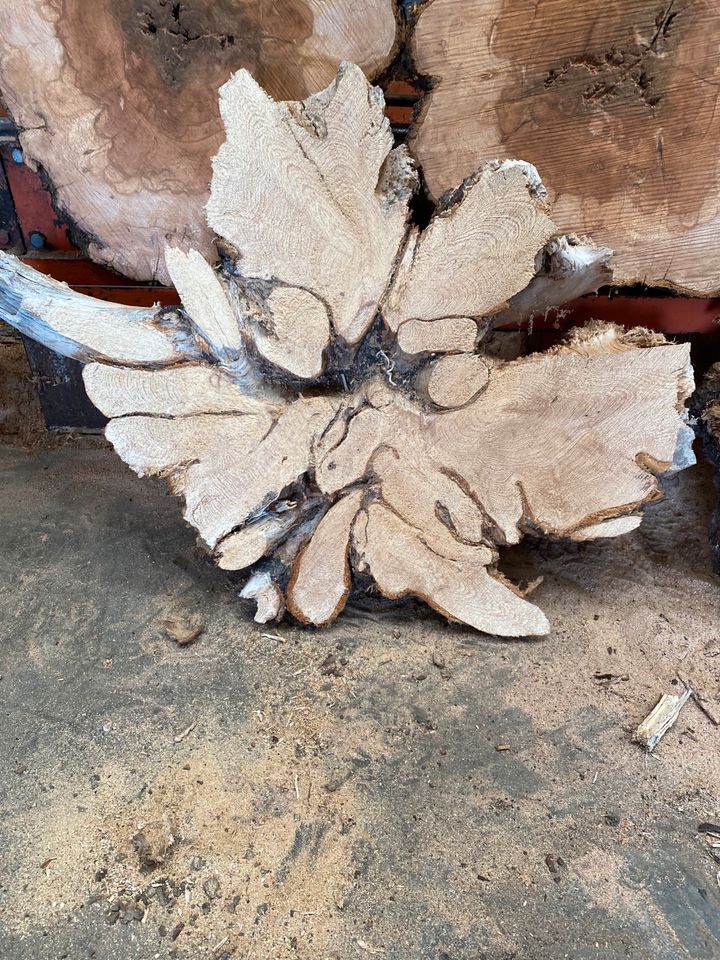 Apfelbaumscheibe Baumscheibe Tischplatte Holzbohle Tisch in Staßfurt