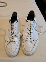 Herren Tommy Hilfiger  Sneaker  Gr. 43 Hannover - Kirchrode-Bemerode-Wülferode Vorschau
