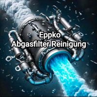 Partikelfilter Katalysator Reinigung DPF KAT Ab 100€ Niedersachsen - Damme Vorschau