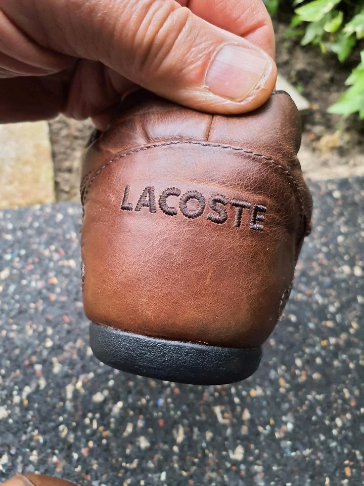 LACOSTE leichte Herrenschuhe  Sneaker  in Größe 43 in Gelsenkirchen