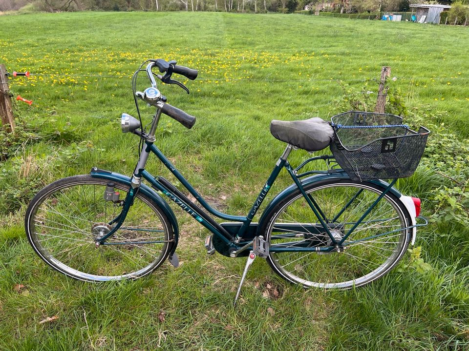 Gazelle „ZEG Excusive Modell“ 28 Zoll Damen Fahrrad in Varel