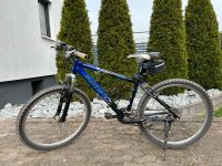 Fahrrad 26 Zoll Hessen - Hohenroda Vorschau