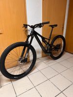 Specialized Stumpjumper Comp Carbon Evo 29 Carb/Gun S2 Baden-Württemberg - Gutach (Schwarzwaldbahn) Vorschau