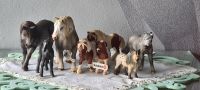 Diverse Schleich Figuren Neustadt - Huckelriede Vorschau