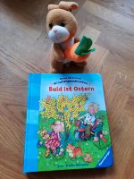 Osterbuch und Osterhase Dresden - Striesen-Ost Vorschau