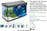Aquarium 54 Liter, ideales Anfängerbecker oder für kleine Fische Rheinland-Pfalz - Wissen Vorschau