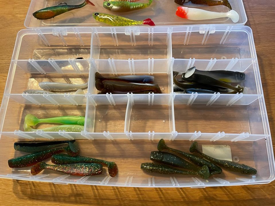 Gummifisch Sammlung incl. Box | Spro Dull Shad in Gunzenhausen