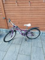 Fahrrad für Mädchen von "Giant" >> 24'' Zoll >> Farbe lila Sachsen - Schöneck Vorschau
