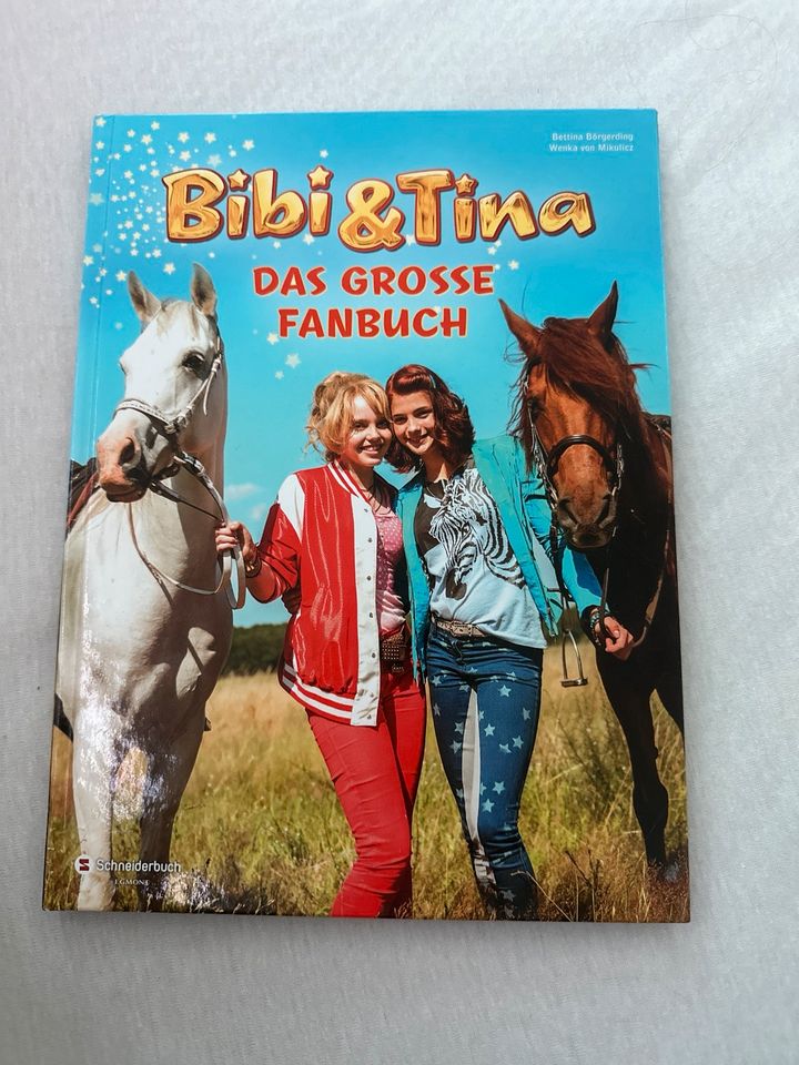 Bibi und Tina Das grosse Fanbuch in Aichwald