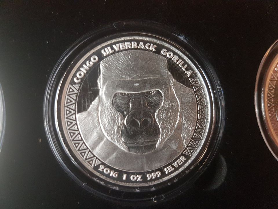 Kongo Silverback Gorilla Collector Box 9x1oz 2015 - 2023 + Box in Ebersbach an der Fils