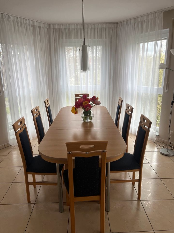 Tisch groß verstellbar + 8 Stühle 320€ in Kassel