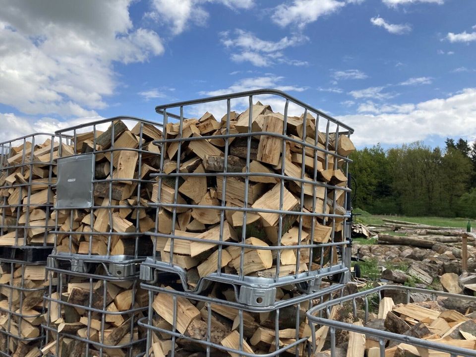 Jetzt vorbestellen! Frisches Brennholz | Kaminholz Buche/ Ahorn/ Eiche in Scharbeutz