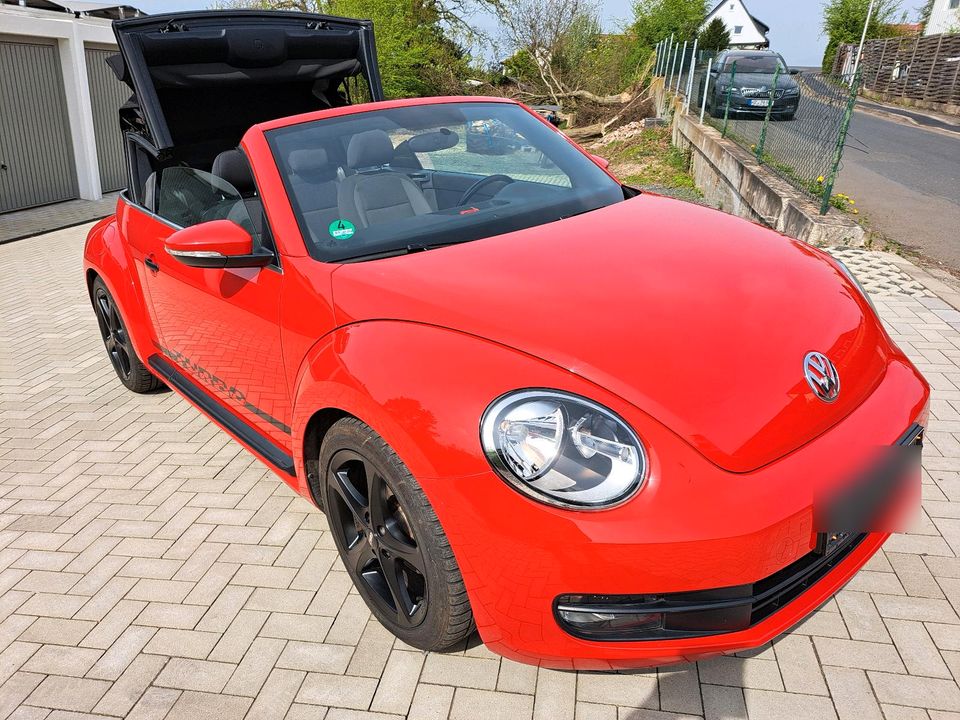 VW Beetle Cabriolet 105 PS rot in Neukirchen