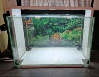 Super Fish Home Aquarium,60 L,weiss,mit Beleuchtung und Heizer Rheinland-Pfalz - Mommenheim Vorschau