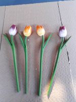 Blumen - Tulpen Sachsen-Anhalt - Wernigerode Vorschau