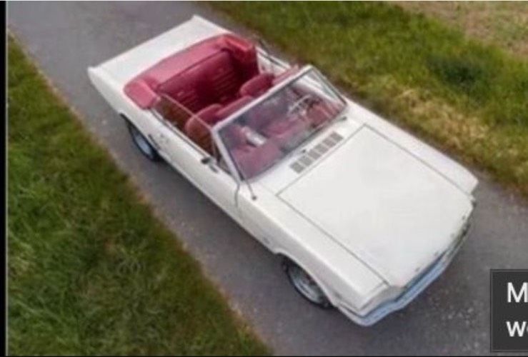 Mustang als Hochzeitsauto mieten - weißes, schickes Cabrio mit V8 in Pirna