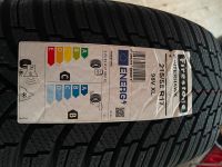 Neue Winterreifen Winterhawk 215/55 R17 Bayern - Görisried Vorschau