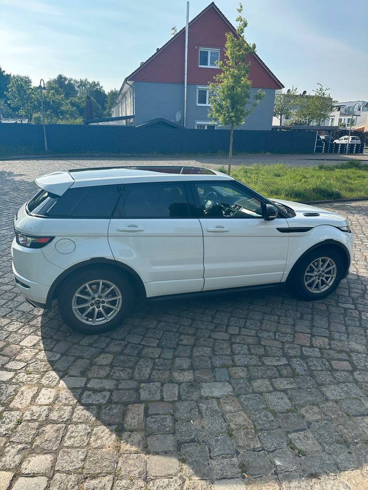 Range Rover Evoque  2.2 SD Dynamic in Bremen