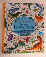 Dinosaurier Suchbuch Dino Buch aus Pappe, neuwertig Hannover - Kirchrode-Bemerode-Wülferode Vorschau