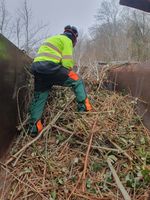 Gartenarbeit, Grundstück beräumen, Äste häckseln Mitte - Tiergarten Vorschau