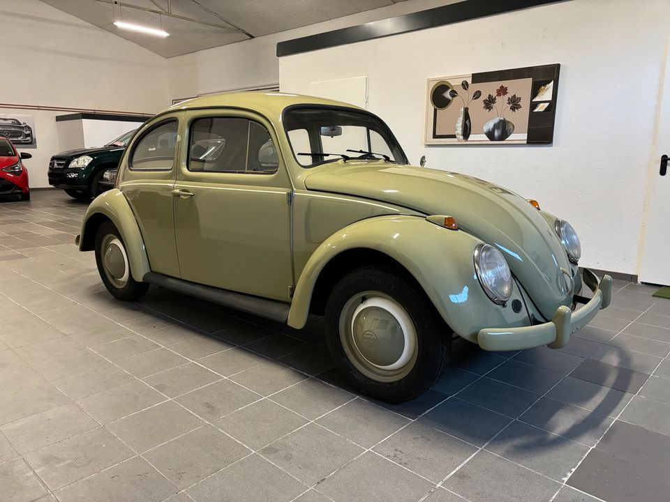 Volkswagen Käfer Standard *Erstbesitz* in Heinsberg