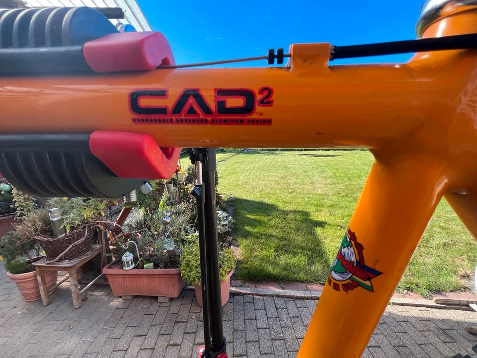 Cannondale M700 CAD2 - Rahmenhöhe 52cm in Rust