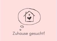 Suche Haus / Haushälfte/ Terrassenwohnung Nordvorpommern - Landkreis - Zarrendorf Vorschau