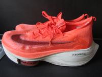 Running Schuhe Nike ZoomX Atomnknit ALPHAFLV NEXTS Sachsen-Anhalt - Magdeburg Vorschau