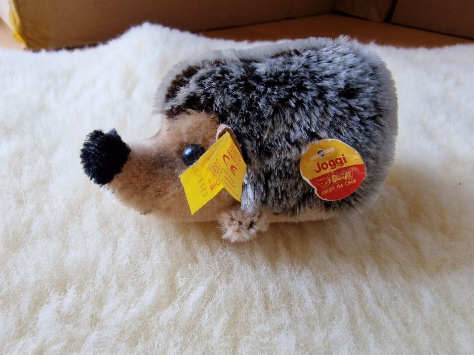 Steiff Igel "Joggi", NEU in Nürnberg (Mittelfr) - Nordstadt | Kuscheltiere  günstig kaufen, gebraucht oder neu | eBay Kleinanzeigen ist jetzt  Kleinanzeigen