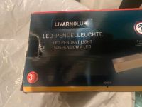 LED Pendel Leuchte nahezu neu Baden-Württemberg - Rheinfelden (Baden) Vorschau