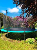 Trampolin 4,90m Hop-Sport Niedersachsen - Schwarmstedt Vorschau