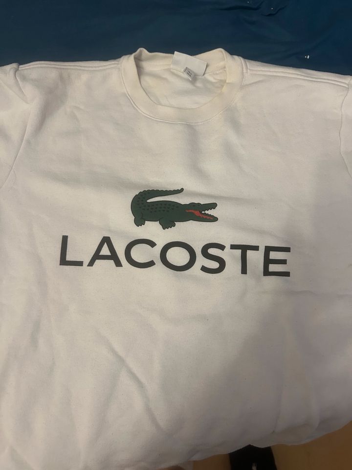 Lacoste Sweatshirt in Kleinheubach