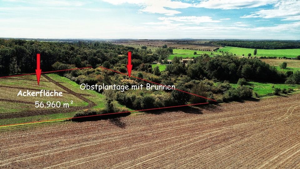 Frühjahrsangebot! Acker Land 5,6 und Gutshaus mit Charme Mehrfamilienhaus 3.800m² Pferdehaltung in Weferlingen