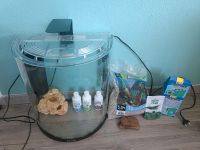 Tetra Nano Aquarium halfmoon 30l mit viel Zubehör Kr. Dachau - Röhrmoos Vorschau