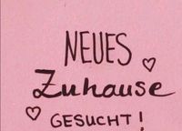 3 - 4 Zimmer Wohnung gesucht ! Schleswig-Holstein - Wankendorf Vorschau