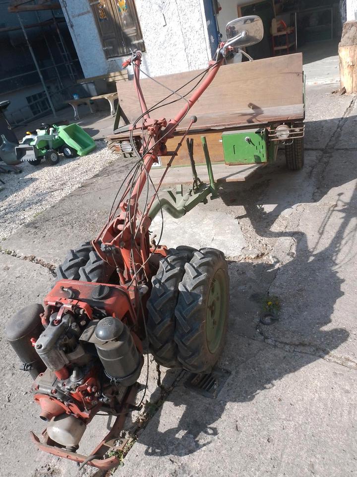 Bungartz f6 Einachsschlepper mit Hatz Diesel zu verkaufen in Salzhemmendorf