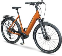 Frühjahrsputz*: E-Bike Giant Dailytour E+2 Tiefeinstieg 55cm ambe Nordrhein-Westfalen - Lippstadt Vorschau